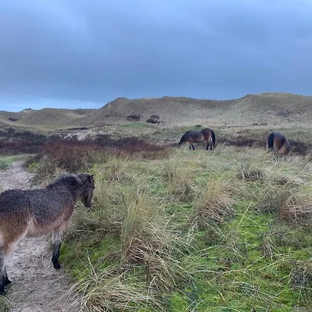 Lejlighed De Duinen *